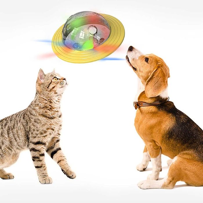 Jucarie interactiva, Lafo, hranire lenta caini si pisici, galben