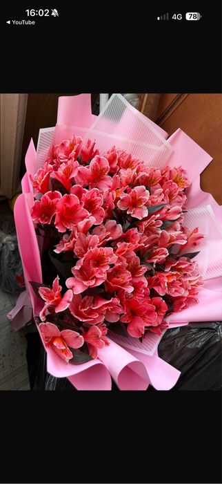Продаю цветы за 4000тг