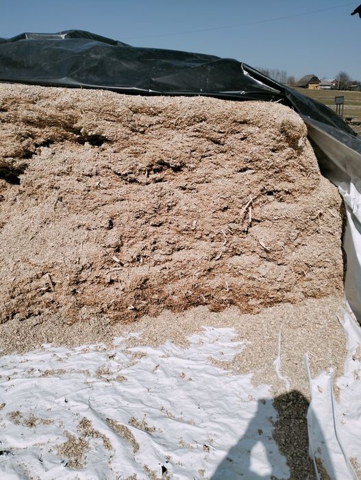 Vând siloz de porumb