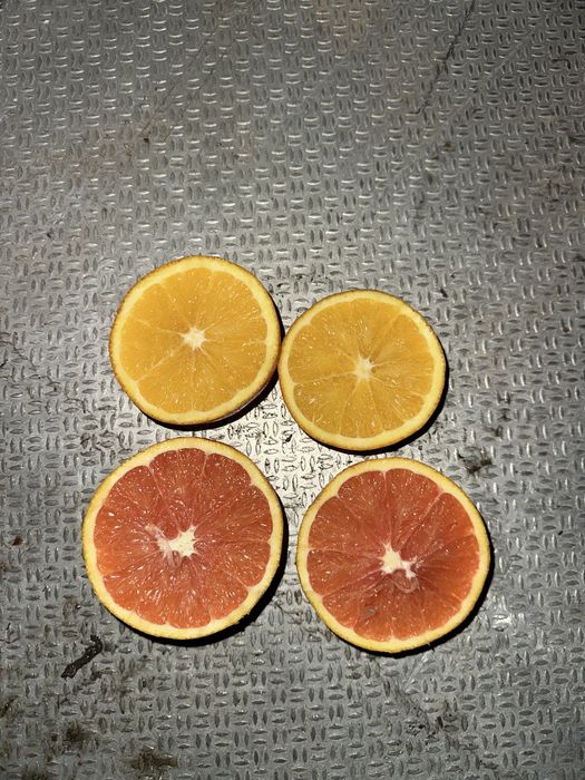 Апельсины с доставкой по городу