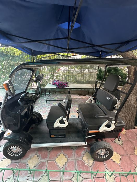 Электрогольфкар ECO BIKE 2025