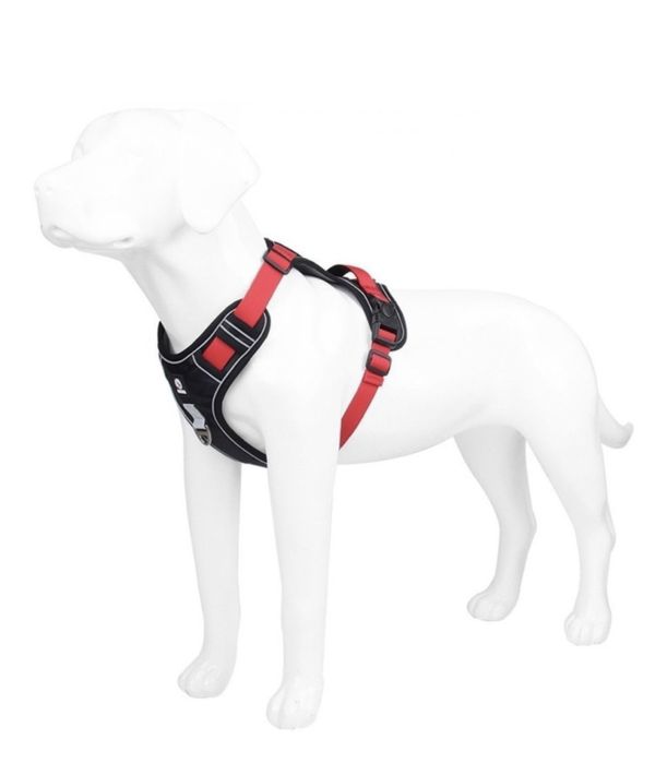 Шлейка для прогулки