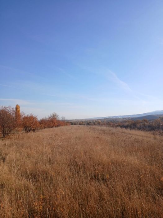 Жер земля кх 75 соток