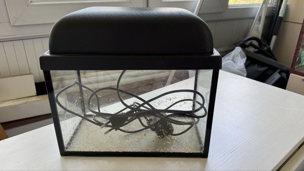 Террариум, аквариум