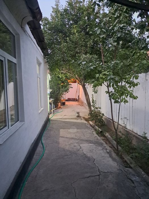 Ховли сотилади Карши шахрида