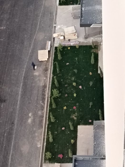 Sifatli Gazon. Narxlar optom shaxar bo'ylab