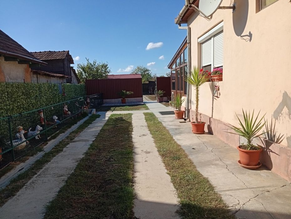 Vând casă in Sofronea