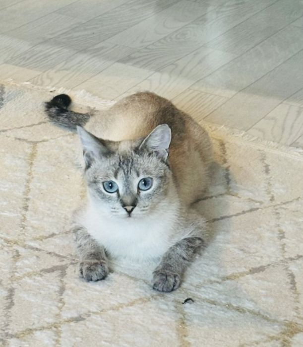 Глаша мечтает стать любимым членом семьи !