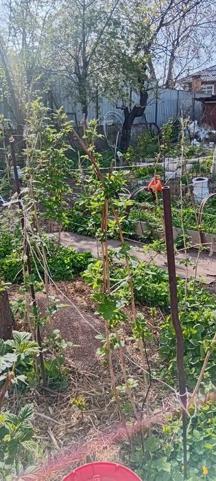 Продам дачный домик