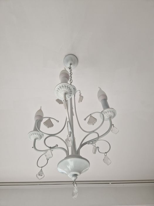 Полилей бял от желязо