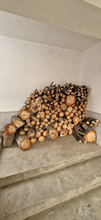 O'tin sotiladi. Arzon