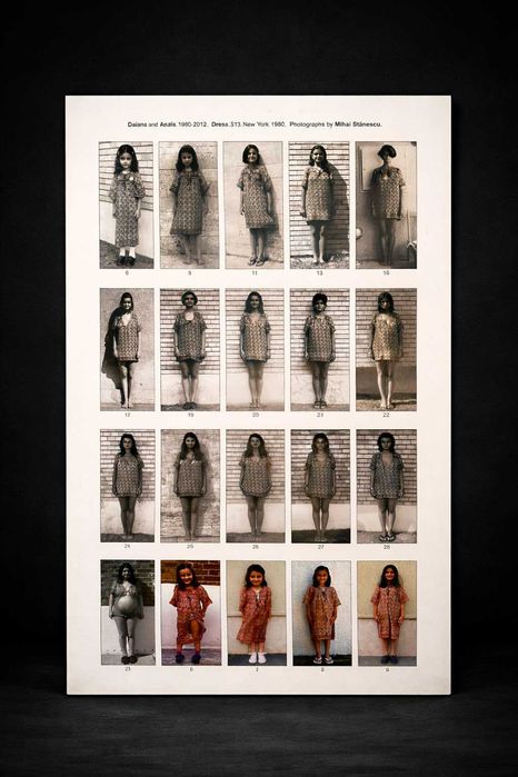 Poster Daiana and Anais din 1980–2012 de Mihai Stănescu