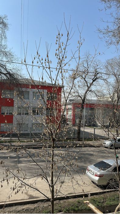 Комната квартира бывщее общежития