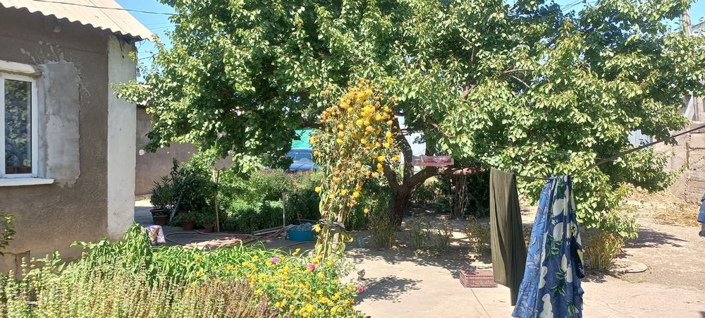 Продается дом на Чапаевка