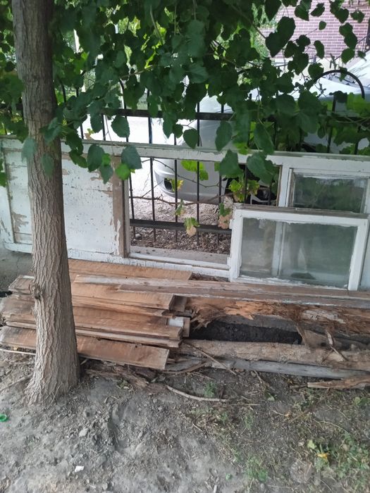 Утинлар сотилади келишилган нархда срочно черный паталог хам зур булад