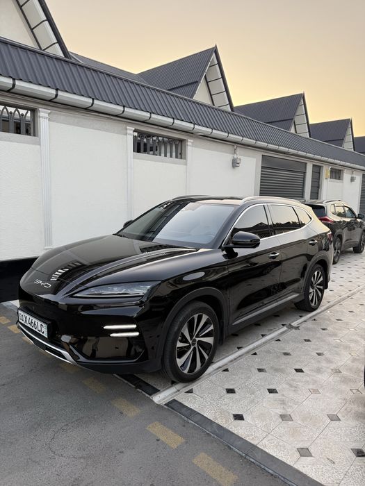BYD champion EV 2024