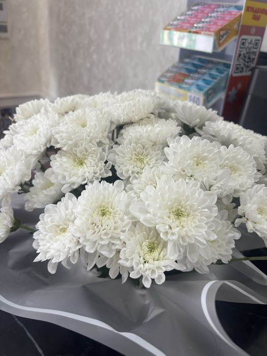 Свежые белые хризантемы