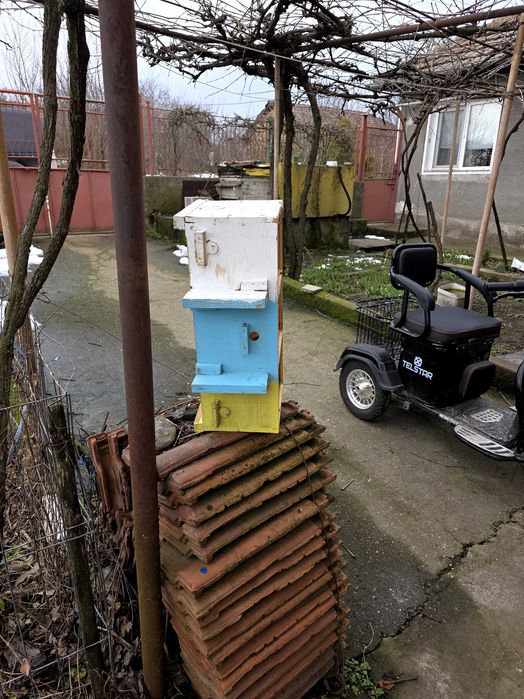 Пчелни рамки обтелени и оплодни сандъчета