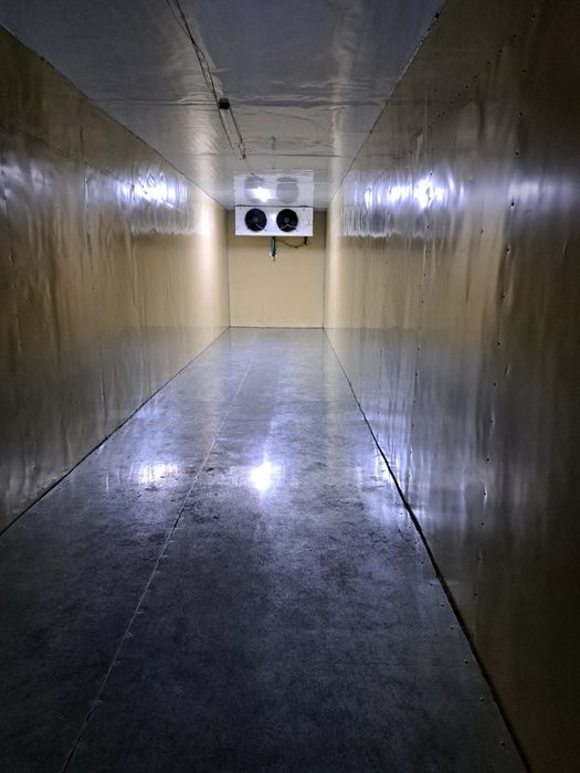 Сдам в аренду реф контенера марозильные