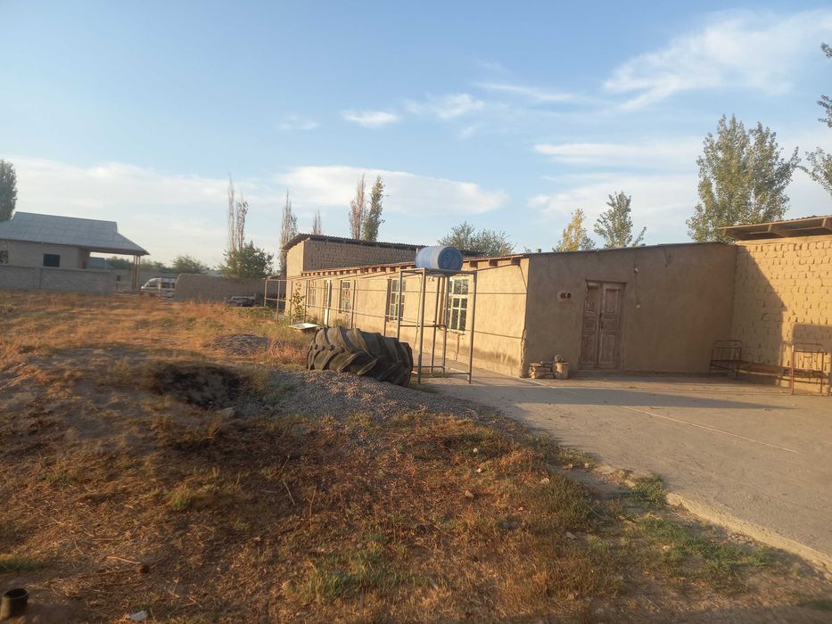 Tovuq ferma sotiladi