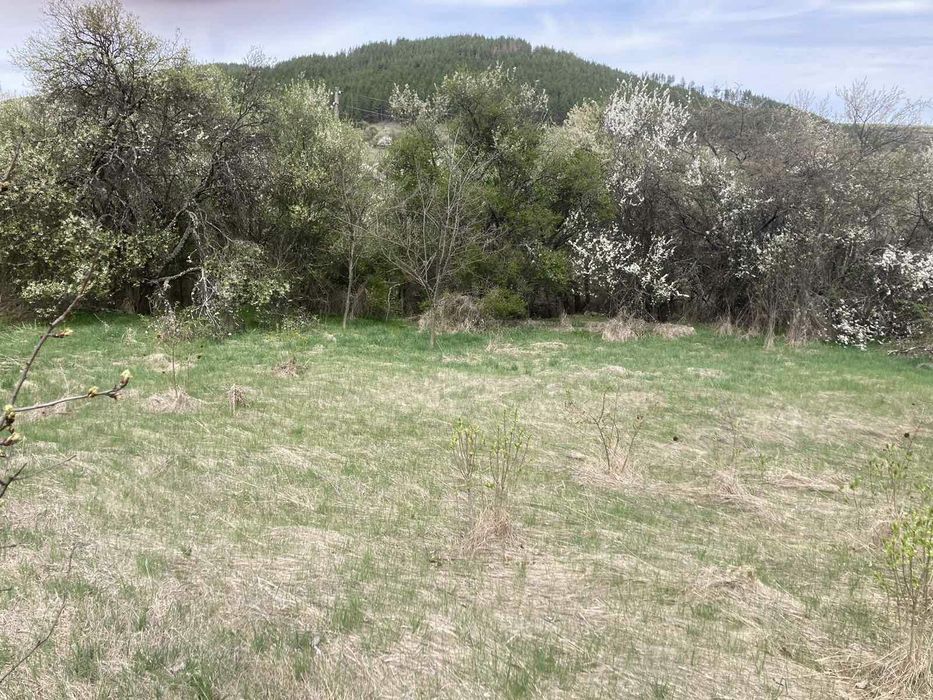 Продава се Парцел в с. Бабица, Област Перник - 1260 кв.м за 12 €/кв.м - Снимка #2