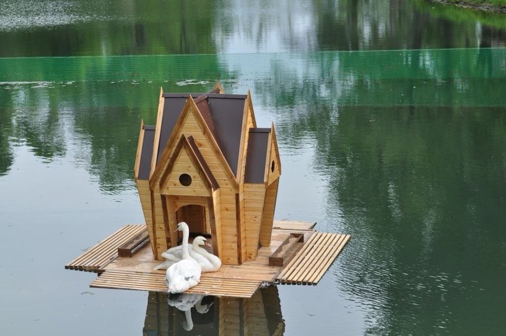 Домик для кур, гусей, лебедей, собак, кошек, птиц