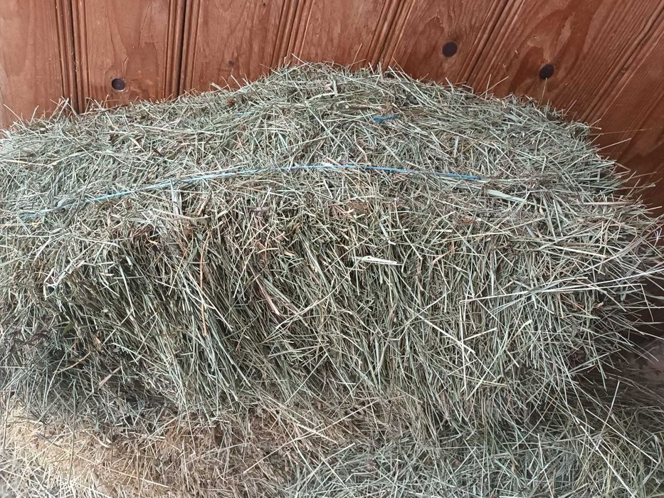 Baloti din otava si fan