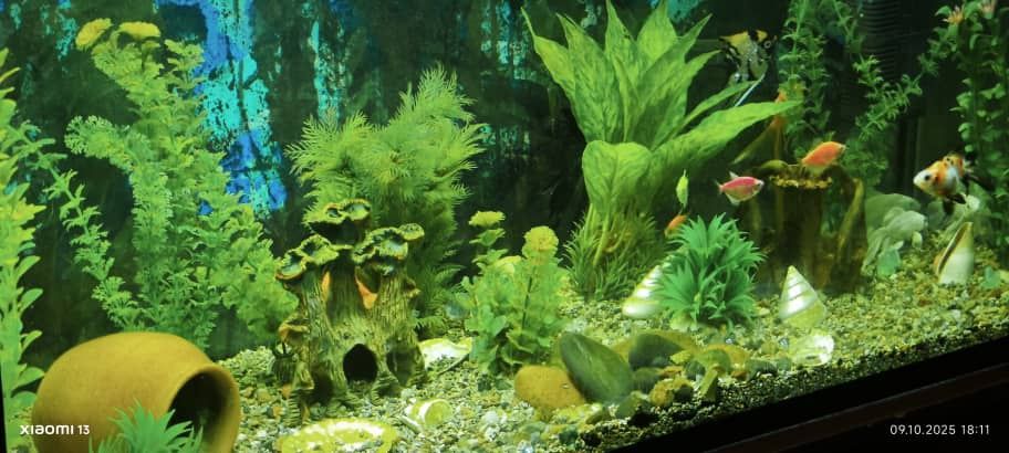 Аквариум комплект 200 литров