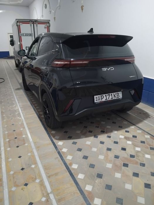 BYD seagull kraskasi yoq