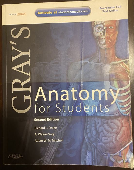 Grey’s Anatomy 2nd edition
