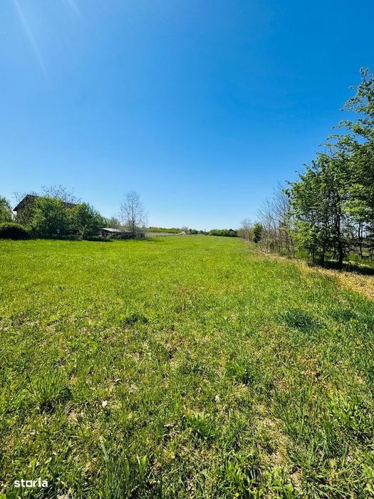 Teren intravilan 3800 mp Alparea lângă pădure