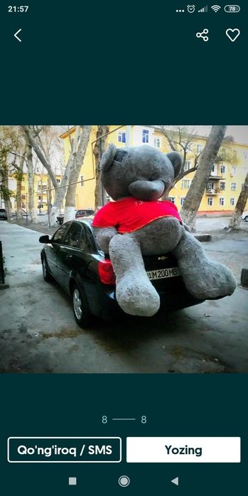 Optim Teddi teddy 50sm 3m