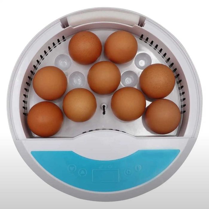 Инкубатор для птиц