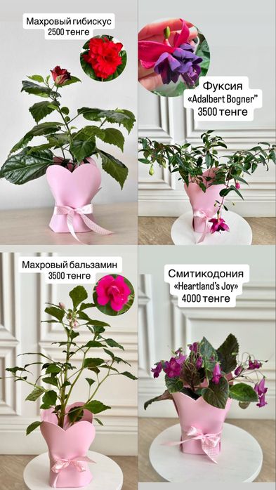 Цветы на 1 сентября
