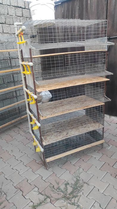 Бөдене клеткалары.Для перепелов