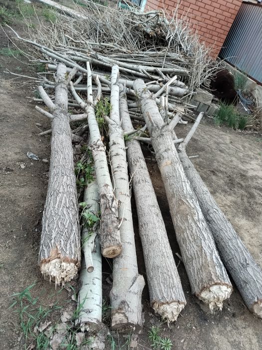 Отдам дрова даром