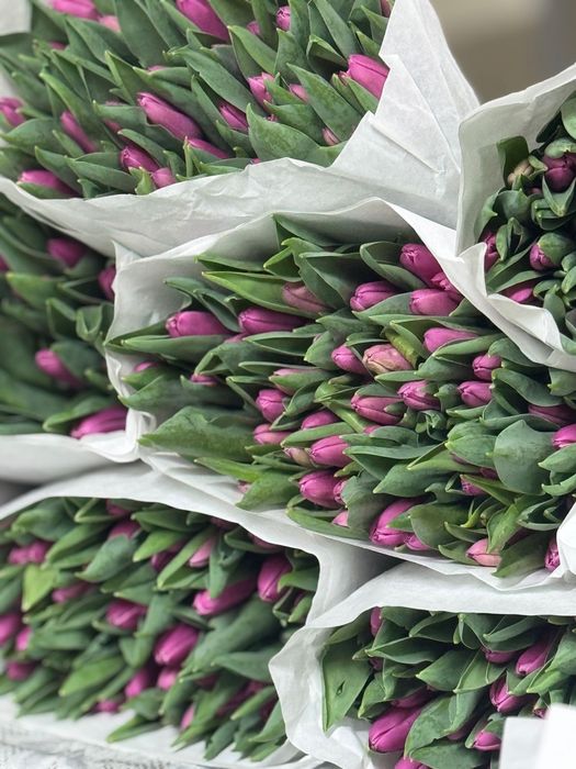 Крупные тюльпаны от 450тг