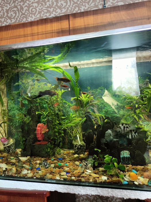 Срочно Продам аквариум