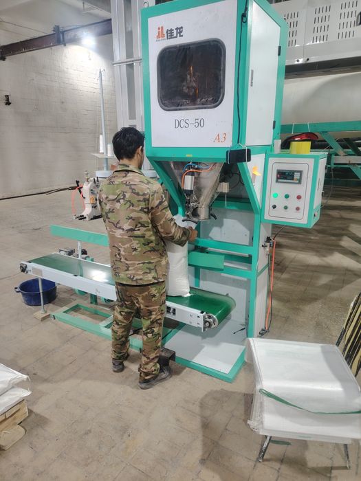 Олар оны терең отырғызды