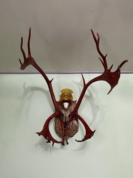 Сувенир,Рога,Оленя