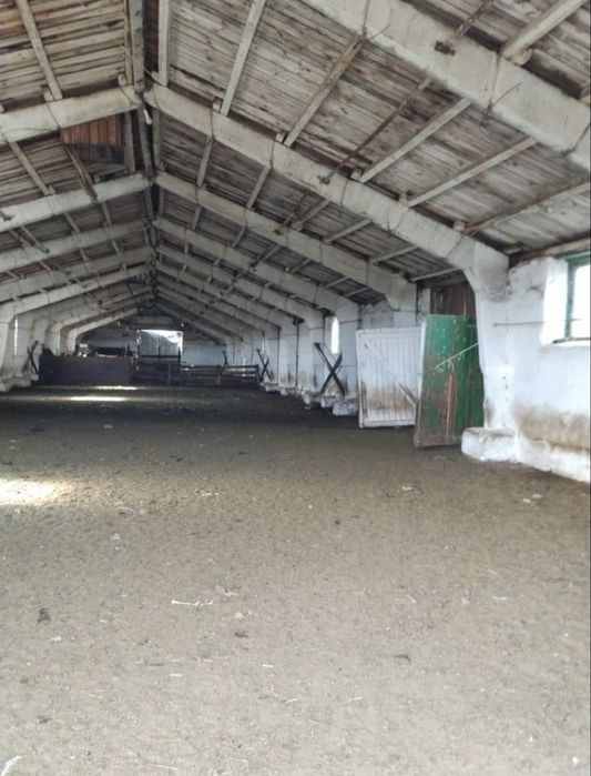 Действующее фермерское хозяйство