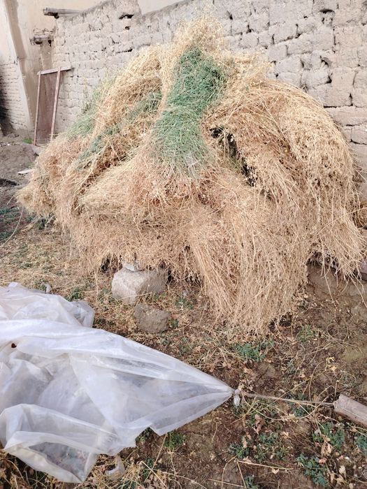 Beda bog'langan sotiladi.