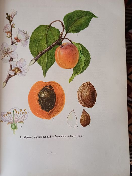 Уникальное издание!