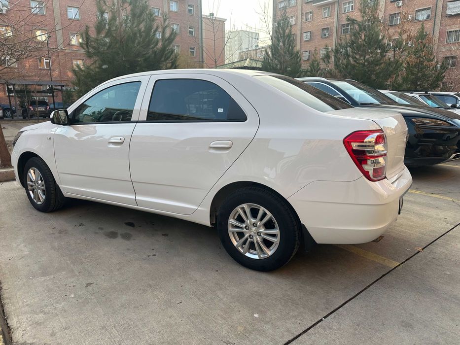 Cobalt 2025 год мсм