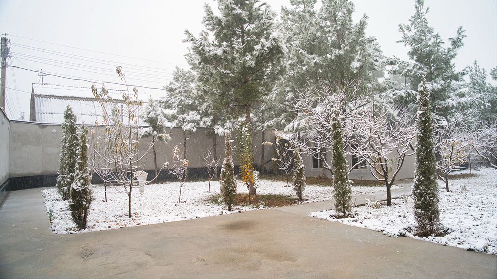 Evro dacha / дача