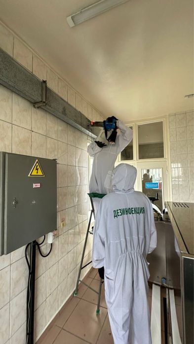 Акция 1 год гарантия от клопов