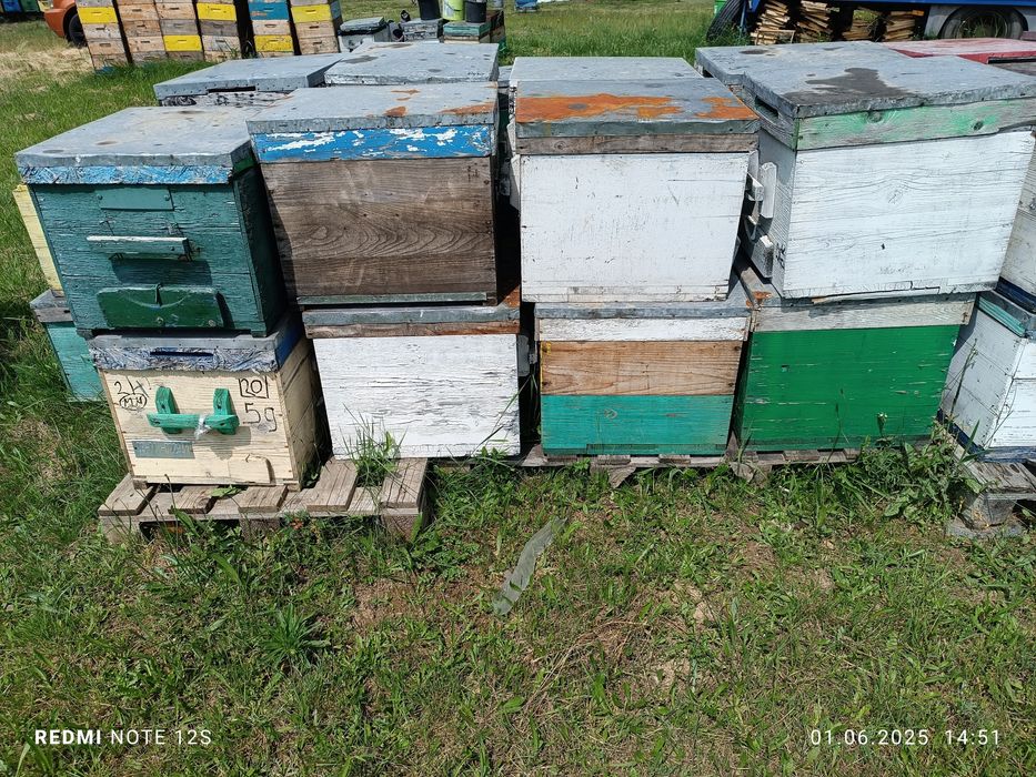 Albine ,cutii stupi ,inventar apicol,caturi,rame