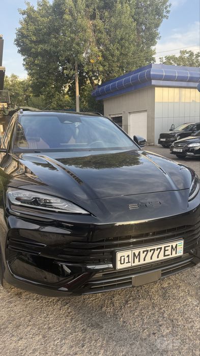 byd qora 2024 song plus champion