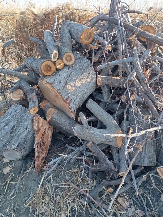 Zaldori oʻtin sotiladi