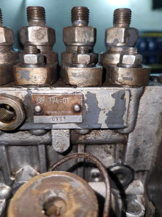 BT Gusunichniy altayniki